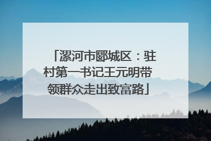 漯河市郾城区：驻村第一书记王元明带领群众走出致富路