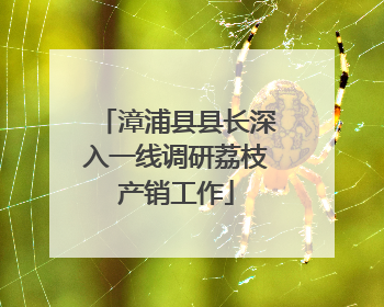 漳浦县县长深入一线调研荔枝产销工作