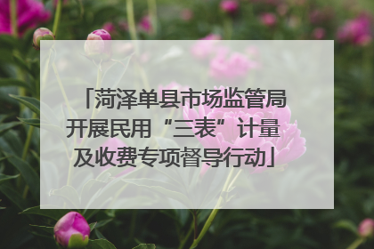 菏泽单县市场监管局开展民用“三表”计量及收费专项督导行动