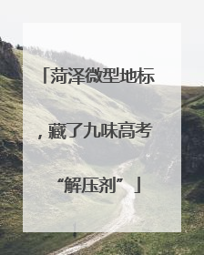 菏泽微型地标，藏了九味高考“解压剂”