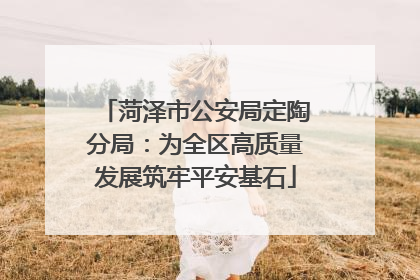 菏泽市公安局定陶分局：为全区高质量发展筑牢平安基石