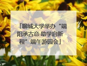 聊城大学举办“端阳承古意·助学启新程”端午游园会