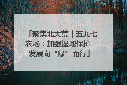 聚焦北大荒｜五九七农场：加强湿地保护 发展向“绿”而行