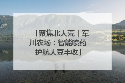 聚焦北大荒｜军川农场：智能喷药护航大豆丰收