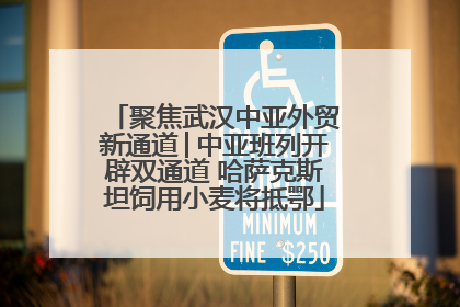 聚焦武汉中亚外贸新通道│中亚班列开辟双通道 哈萨克斯坦饲用小麦将抵鄂