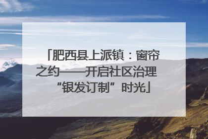肥西县上派镇：窗帘之约——开启社区治理“银发订制”时光