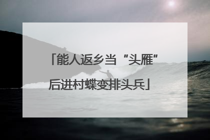 能人返乡当“头雁” 后进村蝶变排头兵
