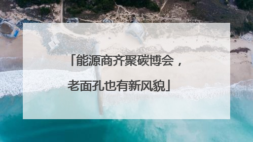 能源商齐聚碳博会，老面孔也有新风貌