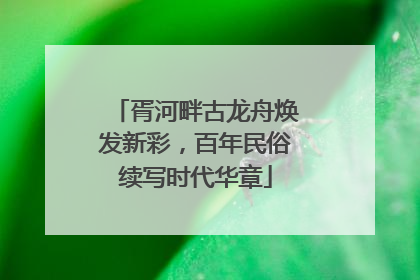 胥河畔古龙舟焕发新彩，百年民俗续写时代华章