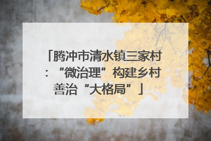 腾冲市清水镇三家村：“微治理”构建乡村善治“大格局”