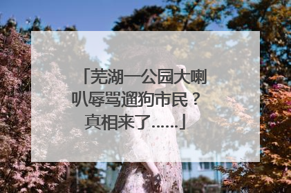 芜湖一公园大喇叭辱骂遛狗市民？真相来了……