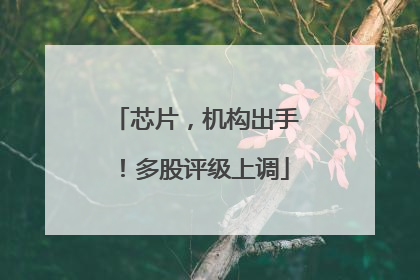 芯片，机构出手！多股评级上调