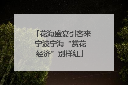 花海盛宴引客来 宁波宁海“赏花经济”别样红