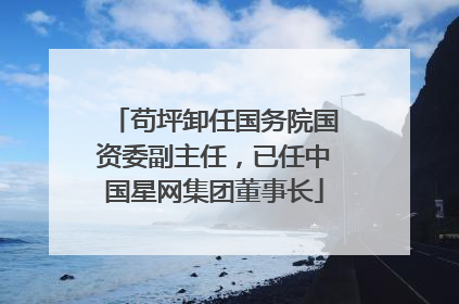 苟坪卸任国务院国资委副主任，已任中国星网集团董事长