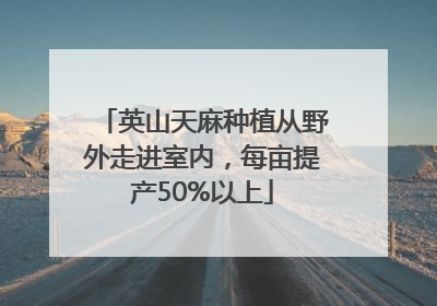 英山天麻种植从野外走进室内，每亩提产50%以上