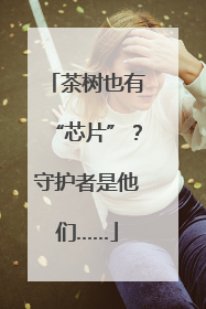 茶树也有“芯片”？守护者是他们……