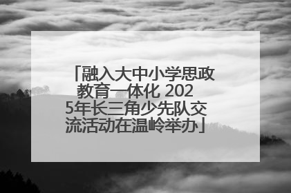 融入大中小学思政教育一体化 2025年长三角少先队交流活动在温岭举办