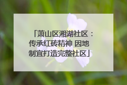 萧山区湘湖社区：传承红砖精神 因地制宜打造完整社区