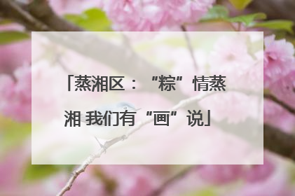 蒸湘区：“粽”情蒸湘 我们有“画”说