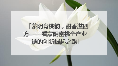 蒙阴育桃韵，甜香溢四方——看蒙阴蜜桃全产业链的创新崛起之路