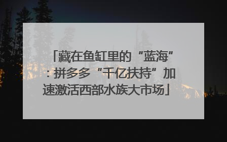 藏在鱼缸里的“蓝海”：拼多多“千亿扶持”加速激活西部水族大市场
