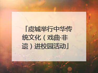虞城举行中华传统文化（戏曲·非遗）进校园活动