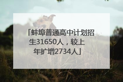 蚌埠普通高中计划招生31650人，较上年扩增2734人