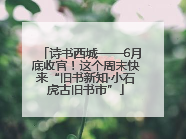 诗书西城——6月底收官！这个周末快来“旧书新知·小石虎古旧书市”