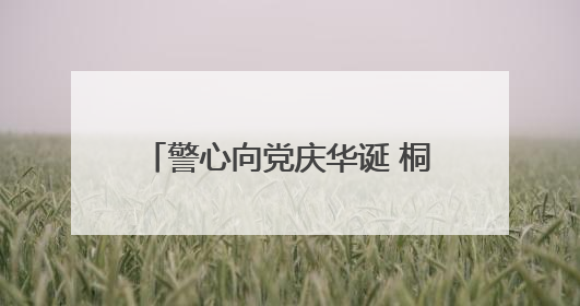警心向党庆华诞 桐柏公安开展系列活动庆祝建党104周年