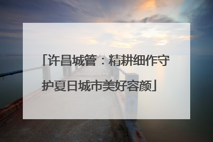 许昌城管：精耕细作守护夏日城市美好容颜