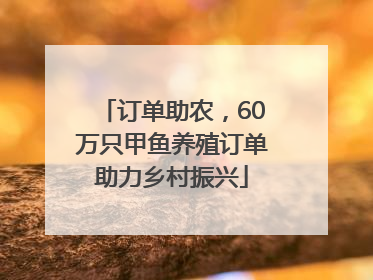 订单助农，60万只甲鱼养殖订单助力乡村振兴