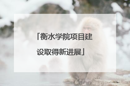 衡水学院项目建设取得新进展