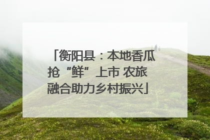 衡阳县：本地香瓜抢“鲜”上市 农旅融合助力乡村振兴