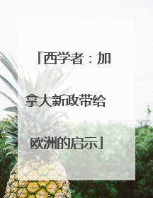西学者：加拿大新政带给欧洲的启示