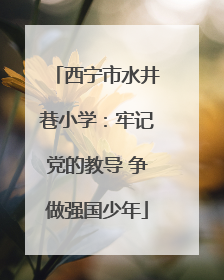 西宁市水井巷小学：牢记党的教导 争做强国少年