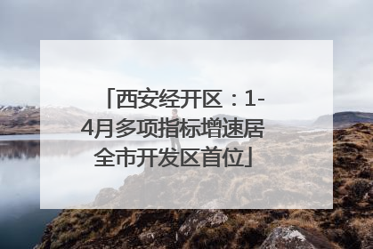 西安经开区：1-4月多项指标增速居全市开发区首位
