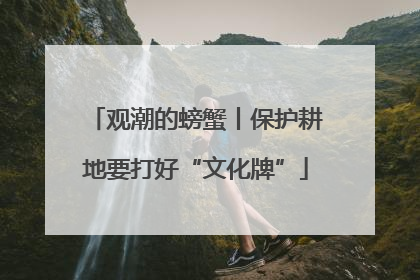 观潮的螃蟹丨保护耕地要打好“文化牌”