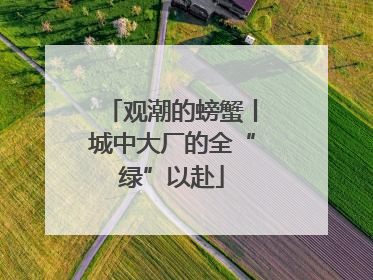 观潮的螃蟹丨城中大厂的全“绿”以赴