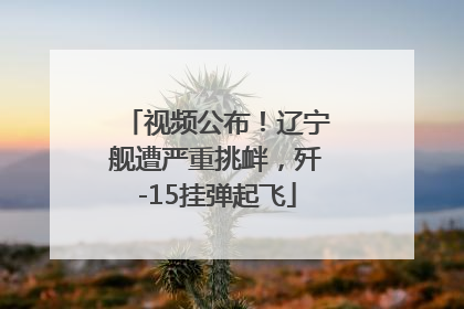 视频公布！辽宁舰遭严重挑衅，歼-15挂弹起飞