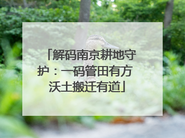 解码南京耕地守护：一码管田有方 沃土搬迁有道