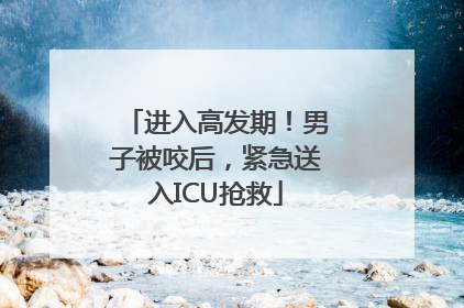 进入高发期！男子被咬后，紧急送入ICU抢救