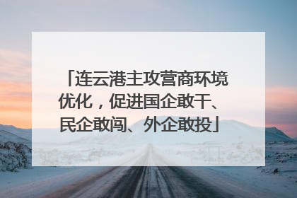 连云港主攻营商环境优化，促进国企敢干、民企敢闯、外企敢投