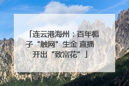 连云港海州：百年栀子“触网”生金 直播开出“致富花”