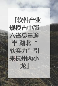 软件产业规模占中部六省总量逾半 湖北“软实力”引来杭州两小龙