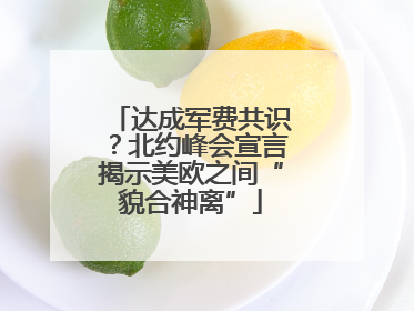 达成军费共识？北约峰会宣言揭示美欧之间“貌合神离”