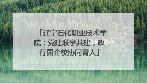 辽宁石化职业技术学院：党建联学共建，政行园企校协同育人