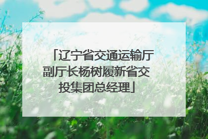 辽宁省交通运输厅副厅长杨树履新省交投集团总经理