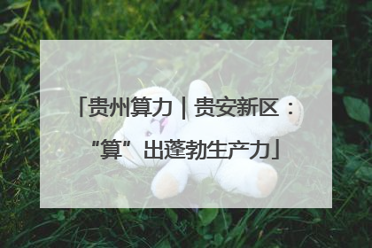 贵州算力｜贵安新区：“算”出蓬勃生产力