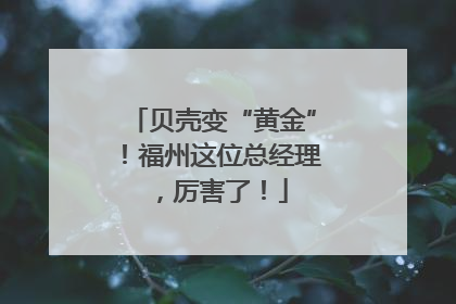 贝壳变“黄金”！福州这位总经理，厉害了！