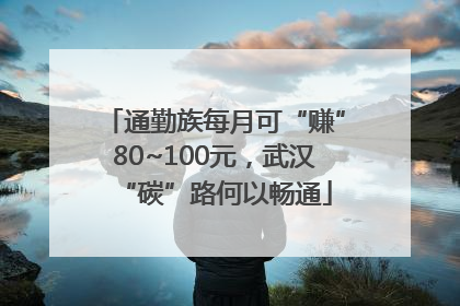 通勤族每月可“赚”80~100元，武汉“碳”路何以畅通